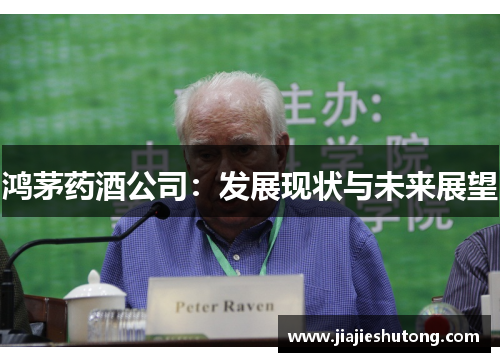 鸿茅药酒公司：发展现状与未来展望