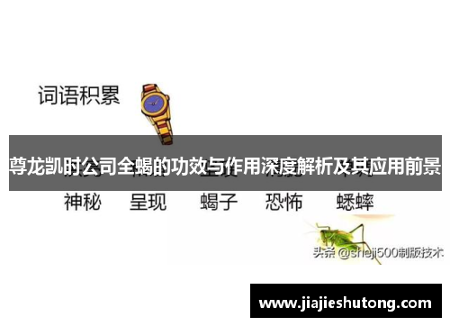 尊龙凯时公司全蝎的功效与作用深度解析及其应用前景